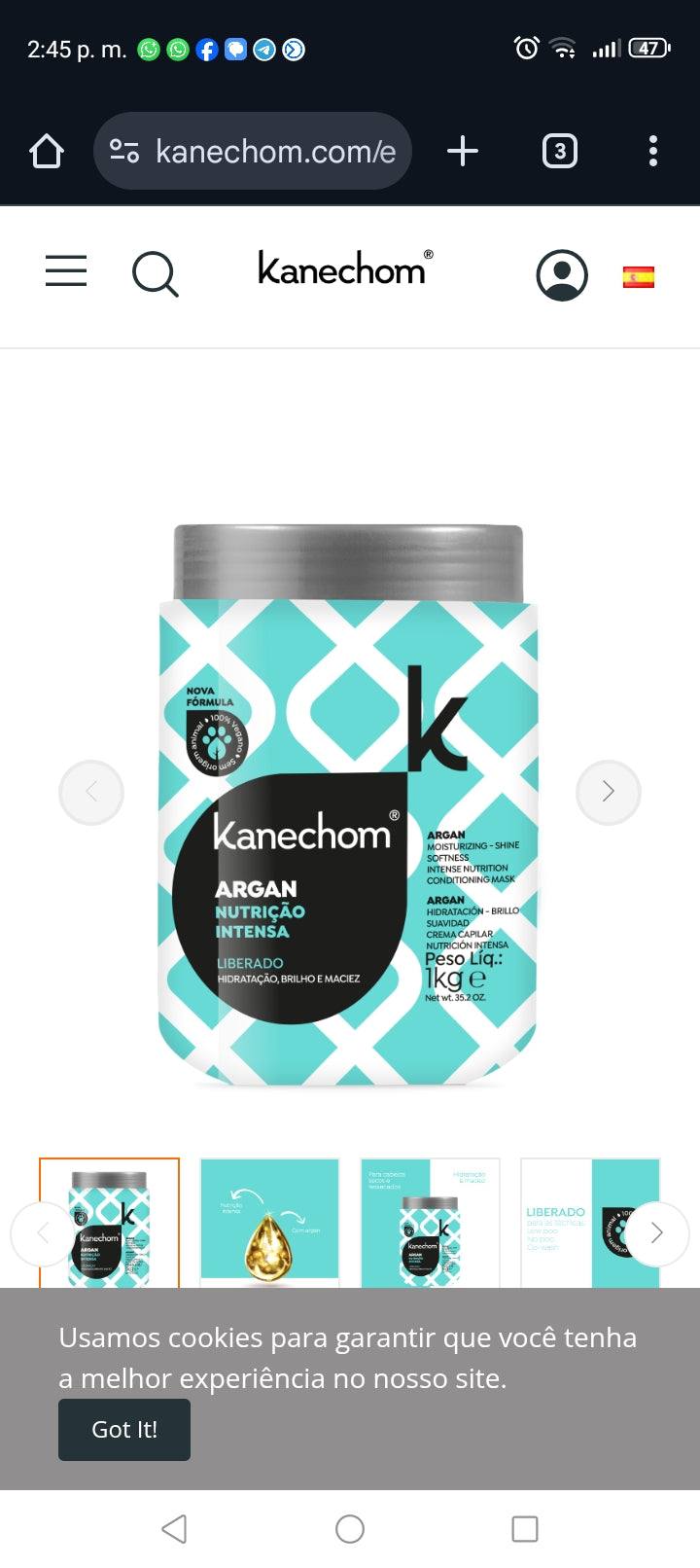 Kanechom mascarilla argan 1 kilo